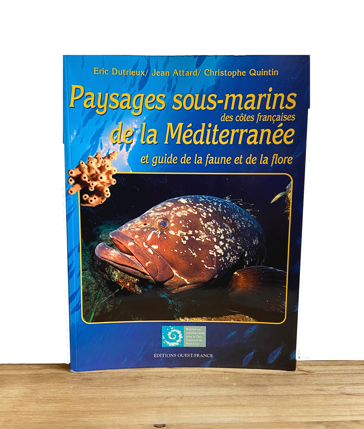 Paysages sous-marins des côtes françaises de la Méditerranée et guide de la faune et de la flore